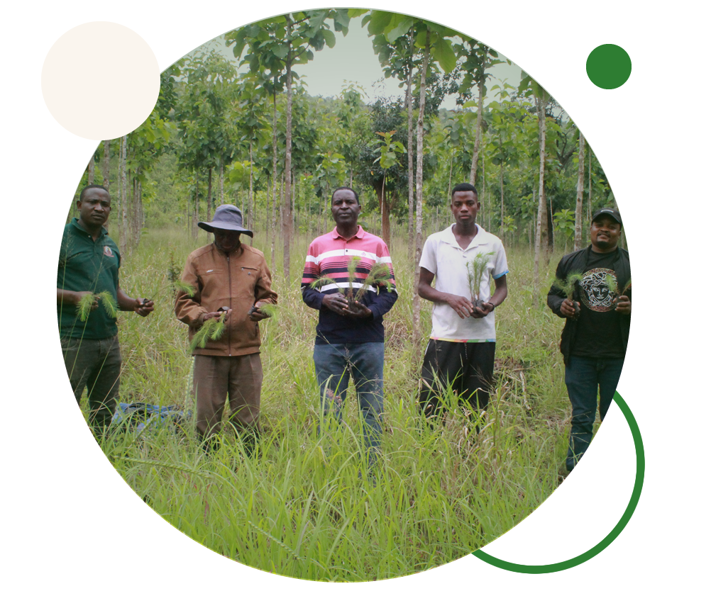 Local team members holding tree saplings in Tanzania